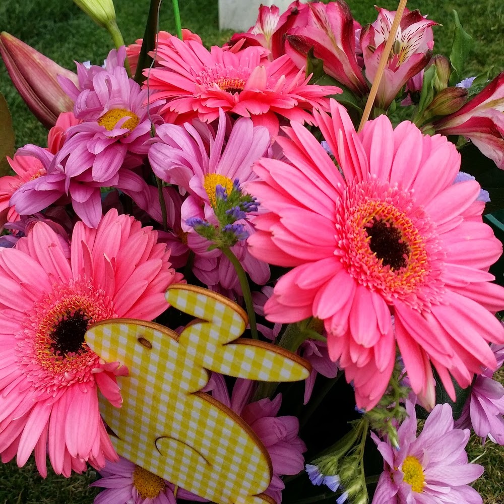 Meet your Posher, Mat